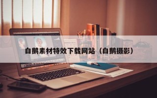 景德镇白鹅素材特效下载网站（白鹅摄影）